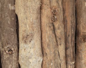 Rounds Of Green Wood