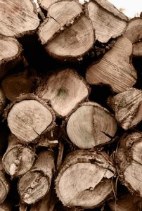 How To Dry Fire Wood Quickly
