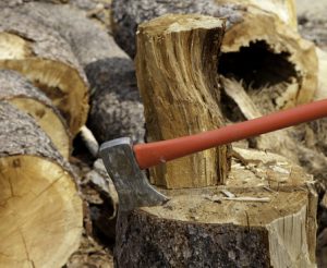 Reason To Buy A Wood Splitter