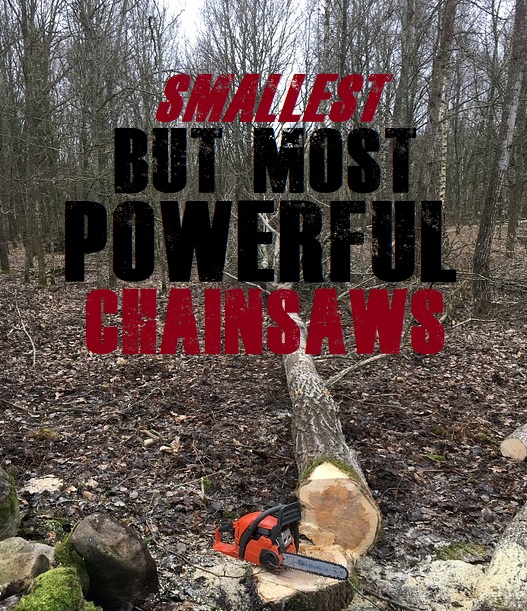 Top Rated Small Chainsaws