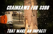 What Are The Best Chainsaws For Under $300 Dollars