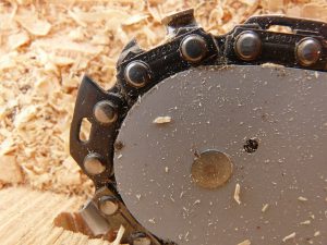 What Size Chainsaw Do I Need