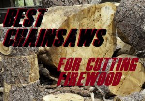 The Best Chainsaws For Cutting Firewood