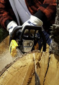 Best Top Handle Arborist Chainsaw