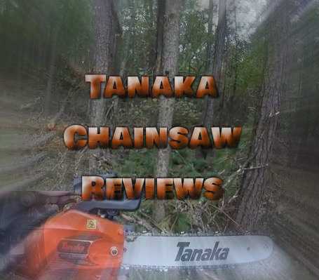 Best Tanaka Chainsaw Reviews
