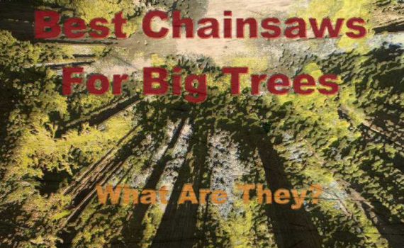 Top Rated Chainsaws For Large Trees