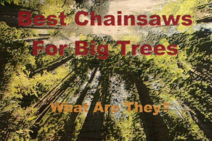 Top Rated Chainsaws For Large Trees