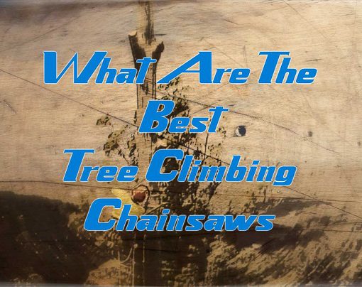 Top Rated Tree Climbing Chainsaws