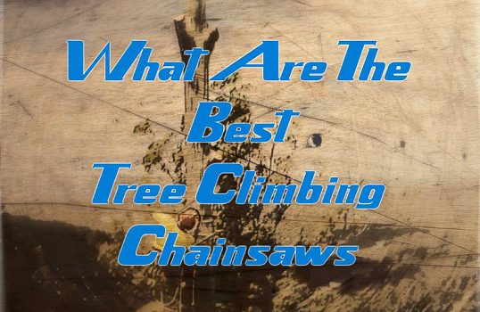 Top Rated Tree Climbing Chainsaws