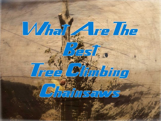 Top Rated Tree Climbing Chainsaws