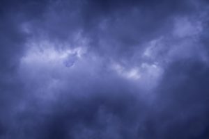 Free Firewood From Storm Clean Up